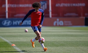 Witsel: 